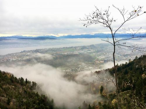 2021 Okt queerAltern Teamwork Ausflug-Uetliberg 11
