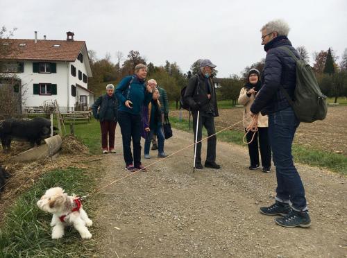 2021 Okt queerAltern Teamwork Ausflug-Uetliberg 13