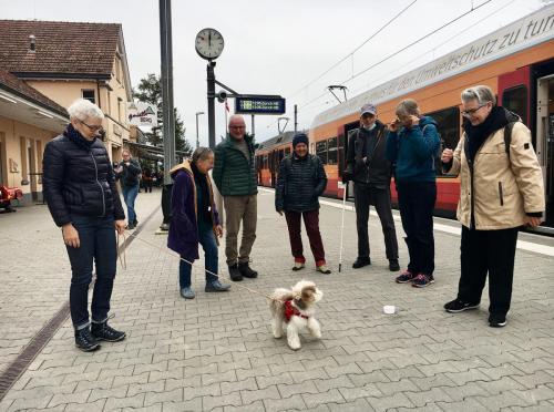 2021 Okt queerAltern Teamwork Ausflug-Uetliberg 2
