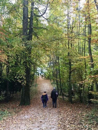 2021 Okt queerAltern Teamwork Ausflug-Uetliberg 23