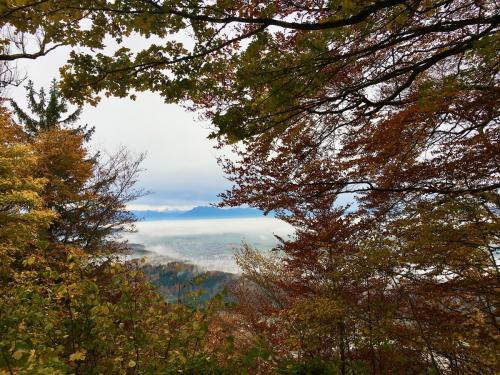 2021 Okt queerAltern Teamwork Ausflug-Uetliberg 3