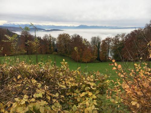 2021 Okt queerAltern Teamwork Ausflug-Uetliberg 6